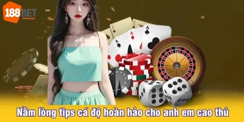 Hiểu rõ bí quyết soi cầu tài xỉu bất bại từ tay chơi 188Bet lâu năm